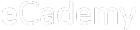 Ecom Academy
